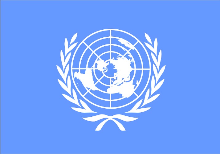 尼克斯主场,对决老鹰,专家深度解,2026世界杯,世界杯赛程,参赛球队,购票信息,赛事安排